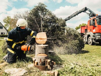 Tree trimming services Fakesville