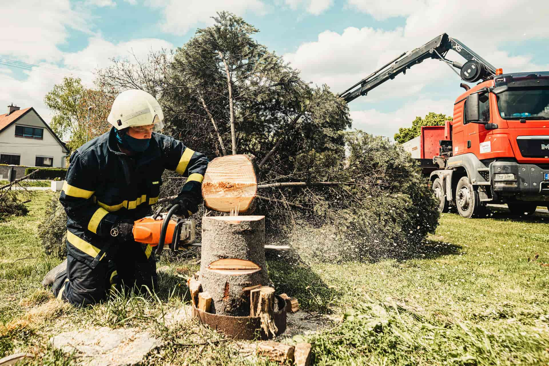 Tree surgeons Fakesville