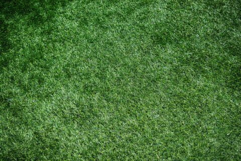 Grass Turf Fitter Fakesville