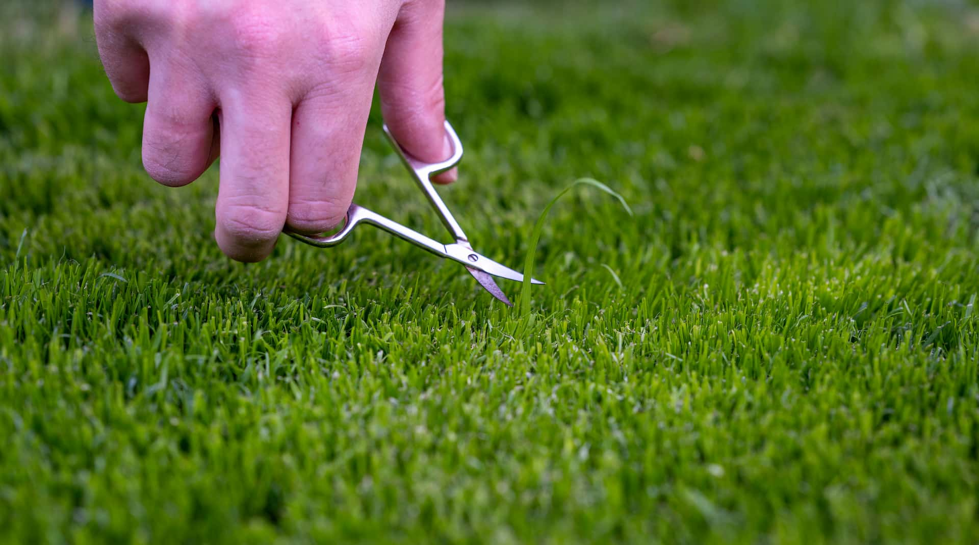 Artificial grass near me Fakesville