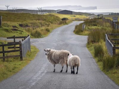 Farm road contractors near me Manchester