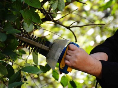 Hedge trimming near me Fakesville