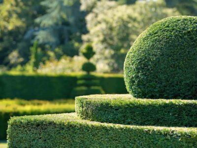 Hedge trimming near me Fakesville