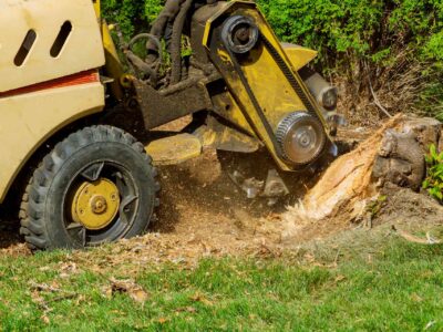 Fakesville stump grinder