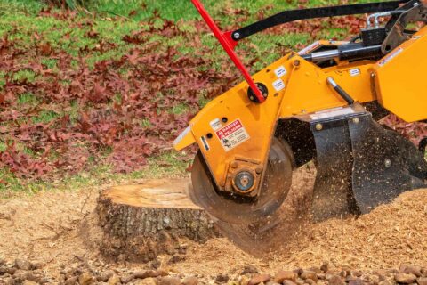 Tree Stump Grinding Services Fakesville