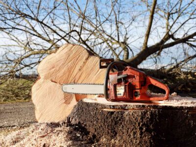 Tree cutting service Fakesville