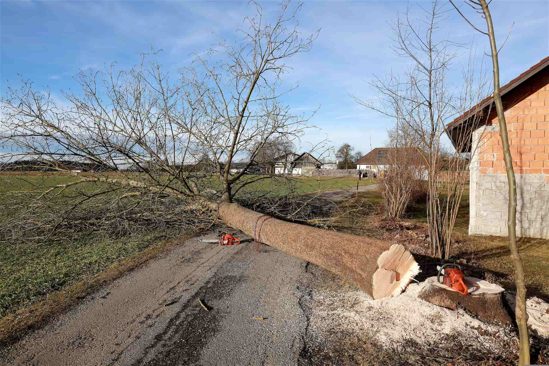 Tree removal company Fakesville