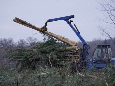 Manchester Tree site clearance